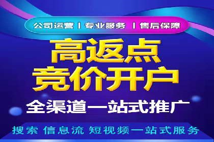某行业头部企业信息流广告推广全解析