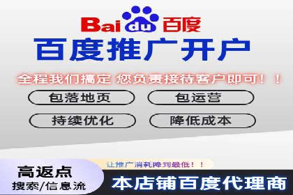 百度SEM优化案例：提升品牌知名度